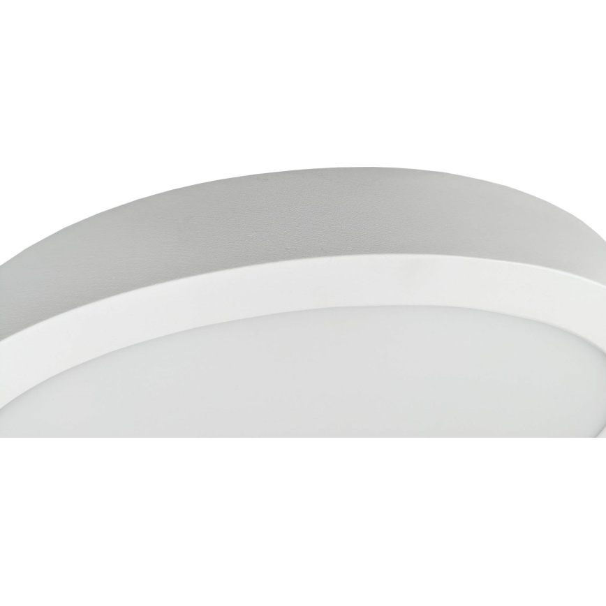 Plafoniera LED FENIX LED/32W/230V 3800K diametro 40 cm neve bianco
