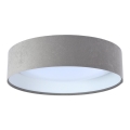 Plafoniera LED GALAXY LED/24W/230V Ø 44 cm grigio/bianco