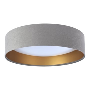 Plafoniera LED GALAXY LED/24W/230V Ø 44 cm grigio/oro