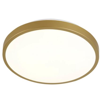 Plafoniera LED KERN LED/15W/230V d. 29 cm