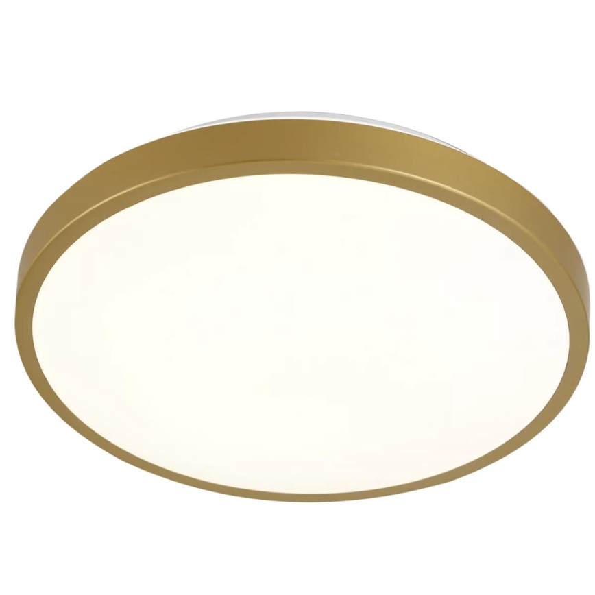 Plafoniera LED KERN LED/15W/230V d. 29 cm