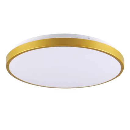 Plafoniera LED KERN LED/15W/230V d. 29 cm