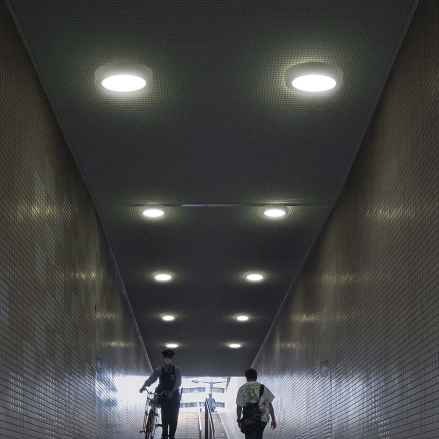 Plafoniera LED LED/12W/230V 4000K bianco