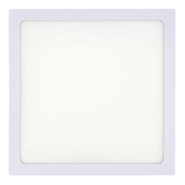 Plafoniera LED LED/18W/230V 2700K 21x21 cm bianco