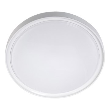 Plafoniera LED LED/18W/230V diametro 30 cm bianco