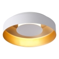 Plafoniera LED LED/20W/230V 3000K bianco