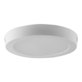 Plafoniera LED LED/24W/230V 3000K