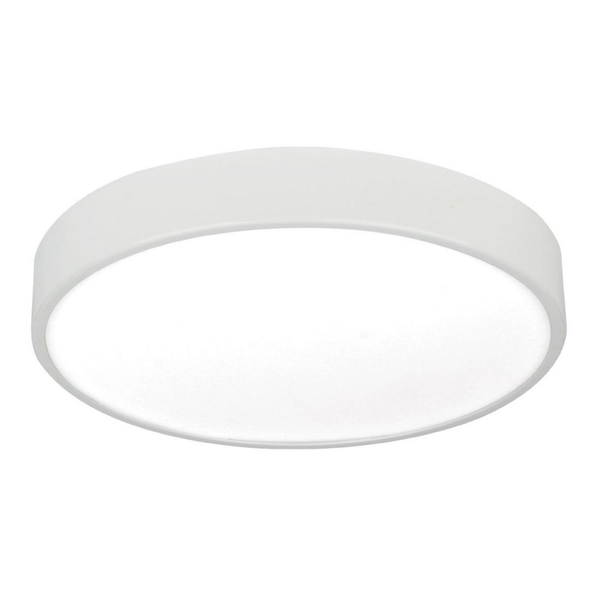Plafoniera LED LED/24W/230V