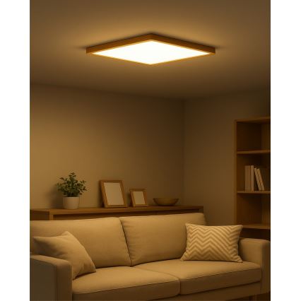 Plafoniera LED LED/40W/230V 3000/4000/6500K 50x50 cm beige