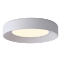 Plafoniera LED LED/40W/230V 3000K bianco diametro 50 cm