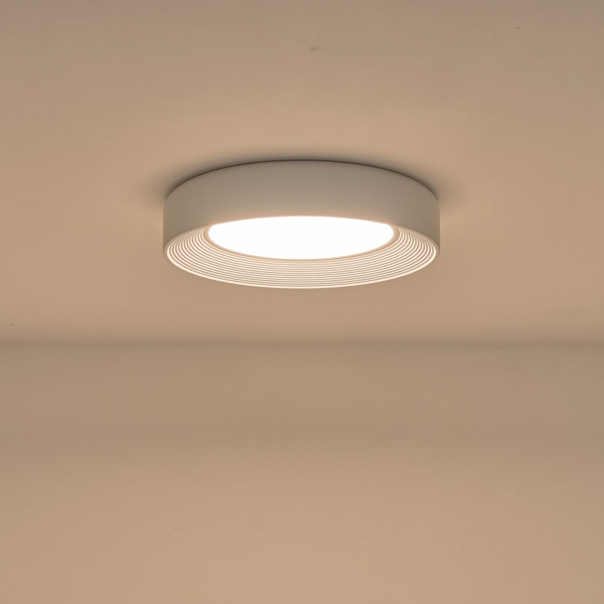 Plafoniera LED LED/40W/230V 3000K bianco diametro 50 cm