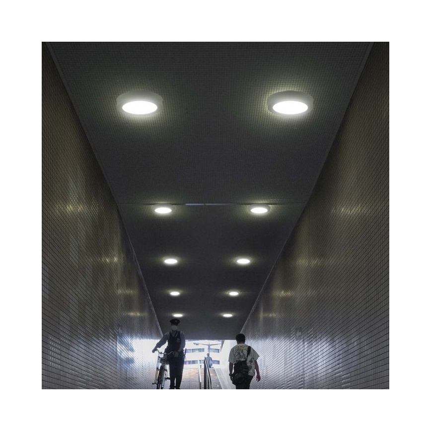 Plafoniera LED LED/6W/230V 6500K bianco