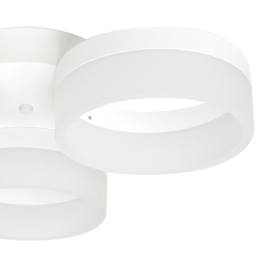Plafoniera LED RING 3xLED/12W/230V bianco