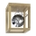 Plafoniera LED ROY 1xGU10/5W/230V quercia opaco