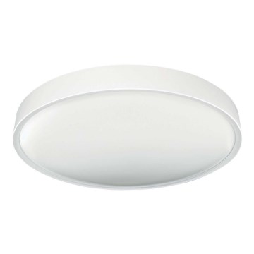 Plafoniera LED SAMER LED/24W/230V 4000K