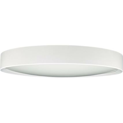 Plafoniera LED SAMER LED/24W/230V 4000K