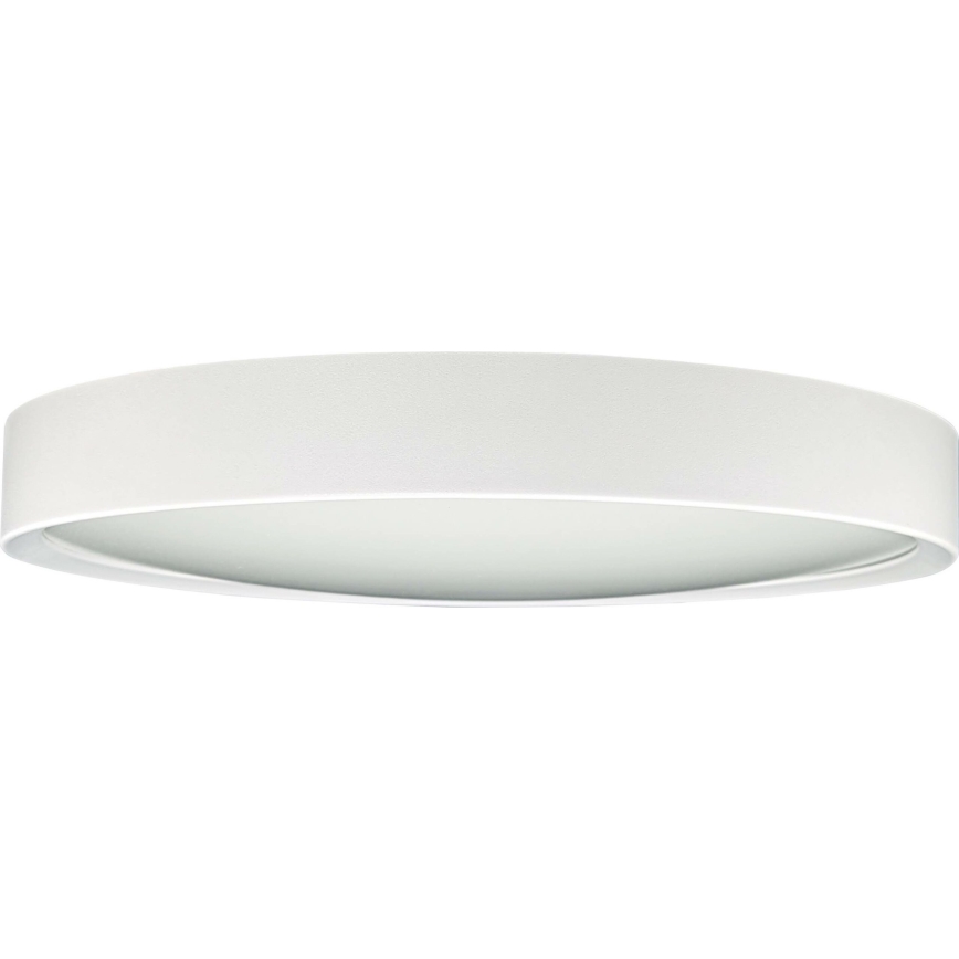 Plafoniera LED SAMER LED/24W/230V 4000K
