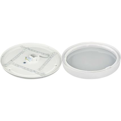 Plafoniera LED SAMER LED/24W/230V 4000K