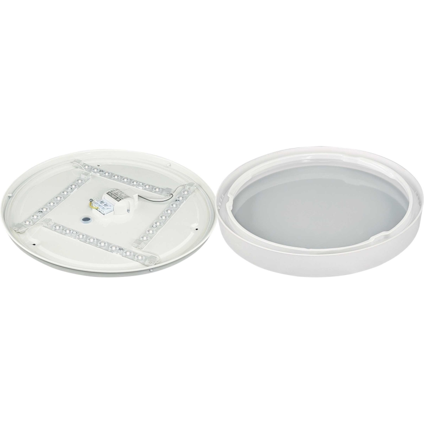 Plafoniera LED SAMER LED/24W/230V 4000K