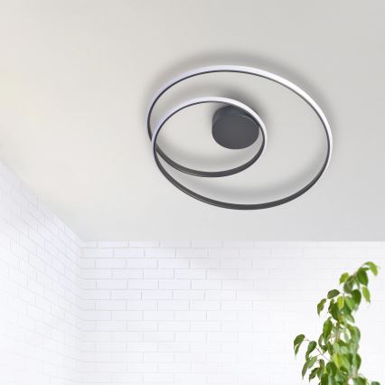 Plafoniera LED ZEFIRA LED/40W/230V 4000K diametro 50 cm antracite