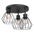 Plafoniera PARKLA 3xE27/15W/230V nero