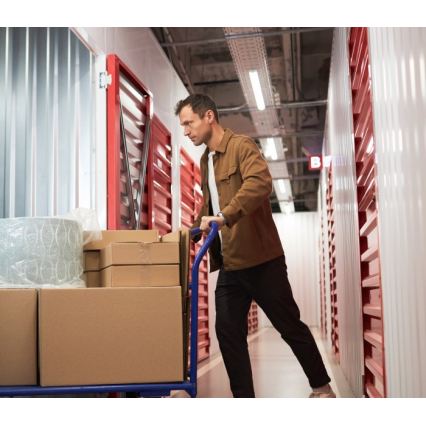 Plafoniera per tubi fluorescenti T8 DELFIA 2xG13/18W/230V 124 cm bianca