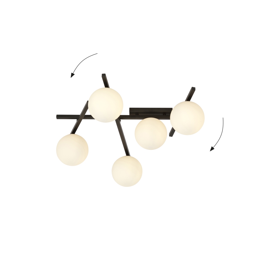 Plafoniera SMART 5xE14/10W/230V nero/bianco