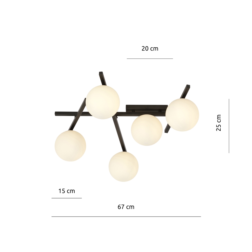 Plafoniera SMART 5xE14/10W/230V nero/bianco
