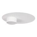 Plafoniera STAR 1xGX53/12W/230V bianco