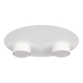 Plafoniera STAR 2xGX53/12W/230V bianco