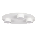 Plafoniera STAR 3xGX53/12W/230V bianco