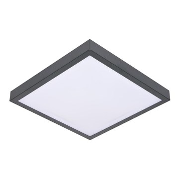 Plafoniera VITAL 2xE27/60W/230V antracite