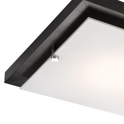 Plafonnier 1xE27/60W/230V pin - certifié FSC