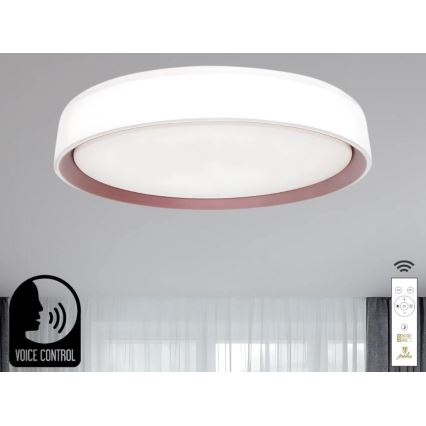 Plafonnier à intensité variable avec commande vocale OPAL LED/48W/230V 2700-6500K blanc + Télécommande