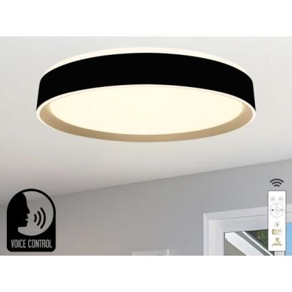 Plafonnier à intensité variable avec commande vocale OPAL LED/48W/230V 2700-6500K noir + Télécommande
