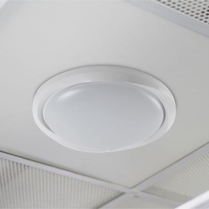 Plafonnier à intensité variable LED/60W/230V 3000-6500K 49,2 cm blanc + télécommande