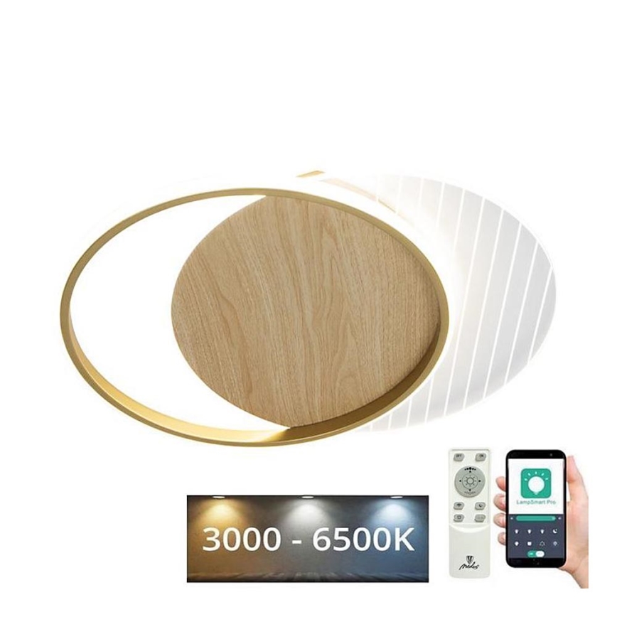 Plafonnier à intensité variable LED/60W/230V 3000-6500K + télécommande