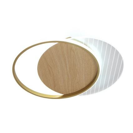 Plafonnier à intensité variable LED/60W/230V 3000-6500K + télécommande