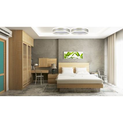 Plafonnier à intensité variable SMART CORAL GOLD LED/24W/230V blanc/doré + télécommande