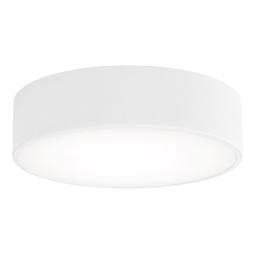 Plafonnier CLEO avec capteur de mouvement et capteur crépusculaire, 2xE27/24W/230V, Ø 30 cm, blanc