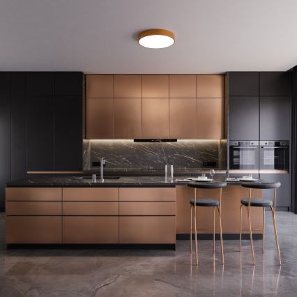 Plafonnier CLEO avec détecteur de mouvement et capteur crépusculaire, 2xE27/24W/230V, Ø 30 cm, finition cuivrée