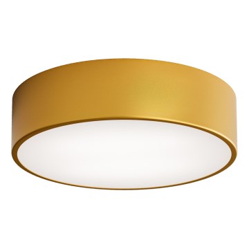 Plafonnier CLEO LED/24W/230V 3000K d. 30 cm doré
