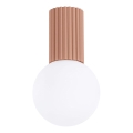 Plafonnier de salle de bain HALO 1xG9/8W/230V d. 12 cm IP44 marron