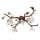 Plafonnier en saillie ROZETA, 5×E14 (40 W), 230 V — bronze