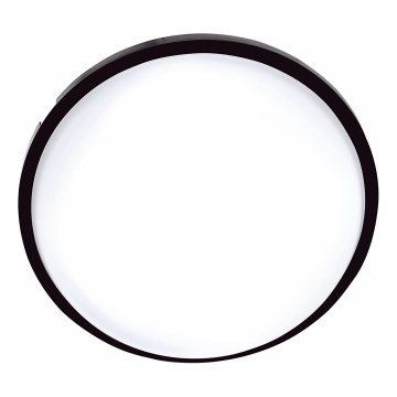 Plafonnier extérieur DARA LED/20W/230V IP65 noir
