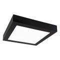 Plafonnier FENIX LED/12W/230V 2800K 17 cm