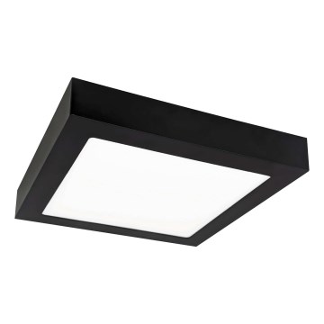 Plafonnier FENIX LED/18W/230V 2800K 22,5 cm