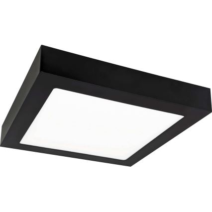 Plafonnier FENIX LED/18W/230V 3800K 22,5 cm