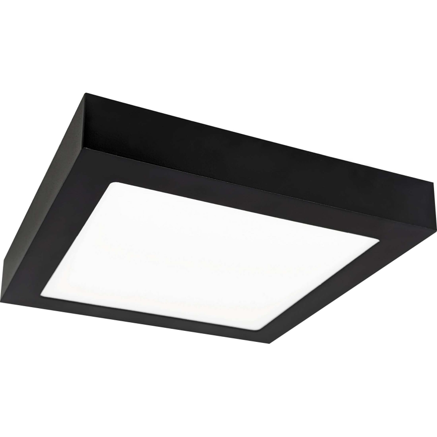 Plafonnier FENIX LED/18W/230V 3800K 22,5 cm