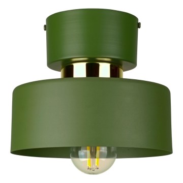 Plafonnier IGNIA 1xE27/60W/230V vert/doré